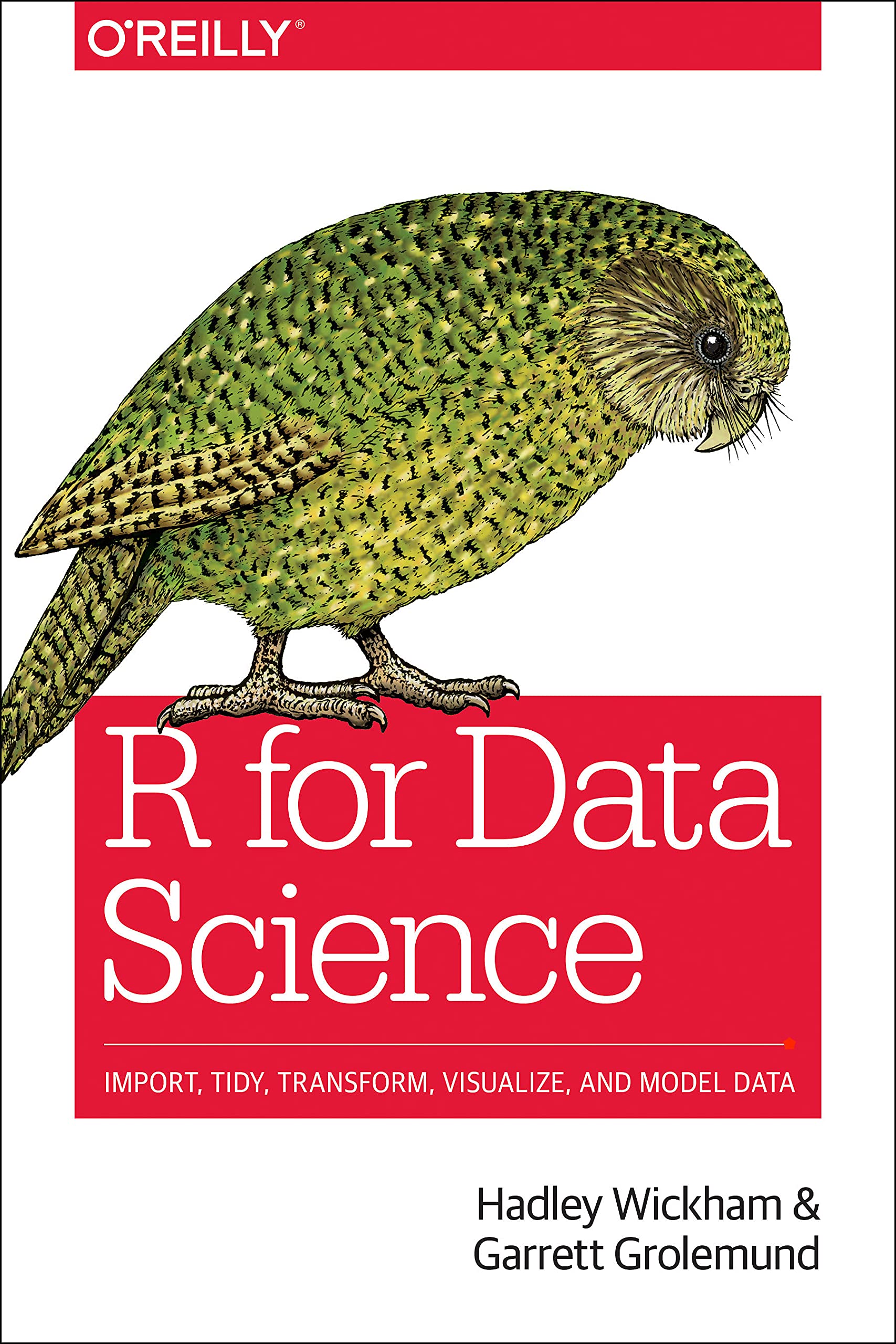 Capa do livro R for Data Science. Uma coruja se destaca na ilustração